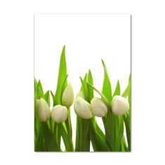 Wallmuralia Vertikální Foto obraz fotografie na skle Bílé tulipány 70x100 cm 4 úchytky