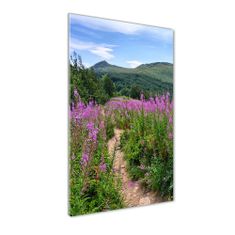 Wallmuralia Vertikální Foto obraz sklo tvrzené Bieszczady 50x100 cm 2 úchytky