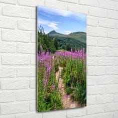 Wallmuralia Vertikální Foto obraz sklo tvrzené Bieszczady 50x100 cm 2 úchytky