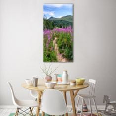 Wallmuralia Vertikální Foto obraz sklo tvrzené Bieszczady 50x100 cm 2 úchytky