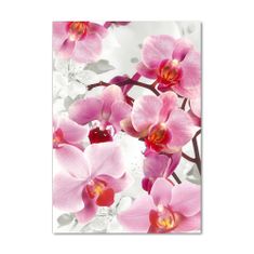 Wallmuralia Vertikální Fotoobraz na skle Růžová orchidej 70x100 cm 4 úchytky