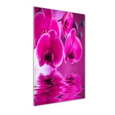 Wallmuralia Vertikální Fotoobraz na skle Růžová orchidej 50x125 cm 4 úchytky