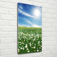 Wallmuralia Vertikální Moderní foto obraz na stěnu Louka 70x140 cm 4 úchytky