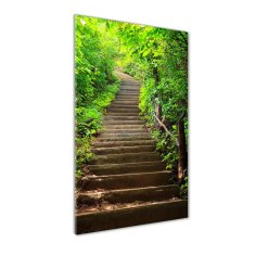 Wallmuralia Vertikální Foto obraz fotografie na skle Schody do lesa 60x120 cm 4 úchytky