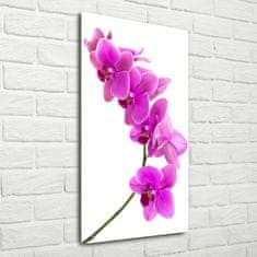 Wallmuralia Vertikální Fotoobraz na skle Růžová orchidej 70x140 cm 4 úchytky