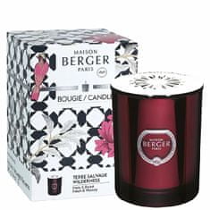 Maison Berger Paris Vonná svíčka Prisme Divočina granátová 240 g