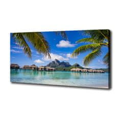 Wallmuralia Foto obraz canvas Palmy na Bora Bora 100x50 cm