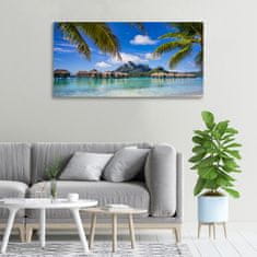 Wallmuralia Foto obraz canvas Palmy na Bora Bora 100x50 cm