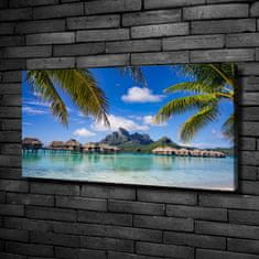 Wallmuralia Foto obraz canvas Palmy na Bora Bora 100x50 cm