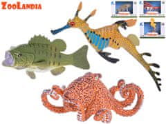 Zoolandia mořská zvířátka