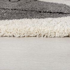 Flair Rugs Kusový koberec Dakari Beauty Neutral 160x230 cm