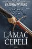 Victoria Aveyard: Lámač čepelí