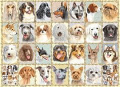Ravensburger  Puzzle Portréty psů 500 dílků
