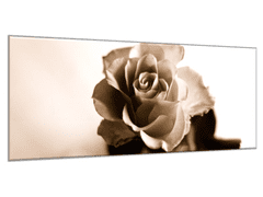 Glasdekor Obraz skleněný květ růže - slonová kost - Rozměry-obdélník: 30 x 40 cm