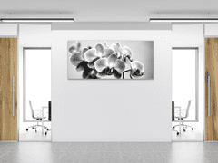 Glasdekor Obraz skleněný černobílá orchidej - Rozměry-obdélník: 70 x 90 cm