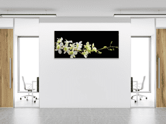 Glasdekor Obraz skleněný bílo žlutá orchidej - Rozměry-obdélník: 30 x 40 cm