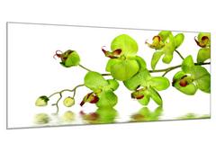 Glasdekor Obraz skleněný žlutočervená orchidej nad hladinou - Rozměry-obdélník: 34 x 72 cm