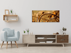 Glasdekor Obraz skleněný vážka v přírodě - Rozměry-obdélník: 30 x 40 cm