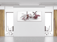 Glasdekor Obraz skleněný květ růžové magnolie na bílém pozadí - Rozměry-obdélník: 40 x 60 cm