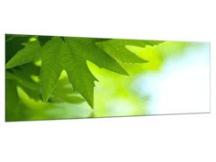 Glasdekor Obraz skleněný větev a listy nad hladinou vody - Rozměry-obdélník: 60 x 120 cm