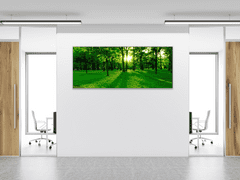 Glasdekor Obraz skleněný slunce prosvítá stromy v parku - Rozměry-obdélník: 60 x 120 cm