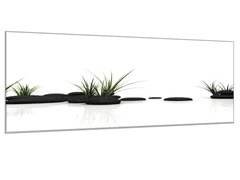 Glasdekor Obraz skleněný tráva a černý kámen na bílém pozadí - Rozměry-obdélník: 80 x 90 cm