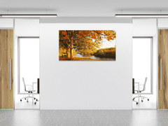 Glasdekor Obraz skleněný podzimní strom s lavičkou u řeky - Rozměry-obdélník: 52 x 60 cm