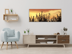 Glasdekor Obraz skleněný tráva v západu slunce - Rozměry-obdélník: 55 x 90 cm