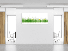 Glasdekor Obraz skleněný tráva s rozkvetlou pampeliškou - Rozměry-obdélník: 70 x 90 cm
