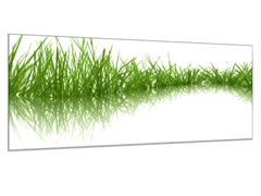 Glasdekor Obraz skleněný zelená tráva odraz v hladině - Rozměry-obdélník: 60 x 80 cm