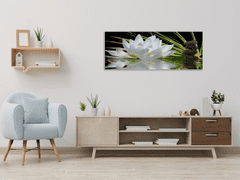 Glasdekor Obraz skleněný bílý květ leknínu na hladině - Rozměry-obdélník: 30 x 60 cm