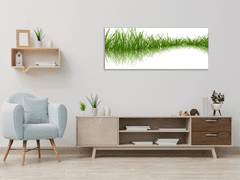 Glasdekor Obraz skleněný zelená tráva odraz v hladině - Rozměry-obdélník: 60 x 80 cm