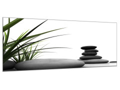 Glasdekor Obraz skleněný zelená tráva a šedé kameny - Rozměry-obdélník: 52 x 60 cm