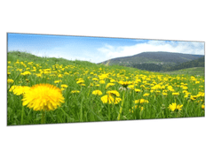 Glasdekor Obraz skleněný rozkvetlá louka - Rozměry-obdélník: 55 x 110 cm