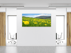 Glasdekor Obraz skleněný rozkvetlá louka - Rozměry-obdélník: 55 x 110 cm
