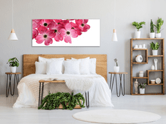 Glasdekor Obraz skleněný růžové květy na bílém pozadí - Rozměry-obdélník: 70 x 80 cm