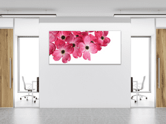 Glasdekor Obraz skleněný růžové květy na bílém pozadí - Rozměry-obdélník: 70 x 80 cm