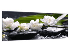 Glasdekor Obraz skleněný bílý květ na černém kameni Zen - Rozměry-obdélník: 55 x 90 cm