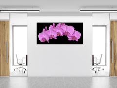 Glasdekor Obraz skleněný květy fialová orchidej na černém pozadí - Rozměry-obdélník: 65 x 90 cm