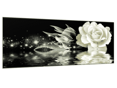 Glasdekor Obraz skleněný umělecká růže nad hladinou - Rozměry-obdélník: 80 x 100 cm