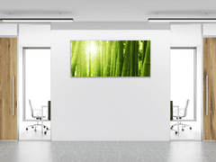 Glasdekor Obraz skleněný bambusový les - Rozměry-obdélník: 40 x 60 cm