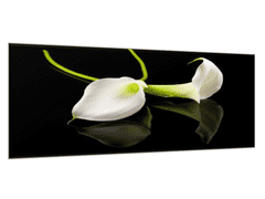 Glasdekor Obraz skleněný bílá kala na černém pozadí - Rozměry-obdélník: 65 x 110 cm