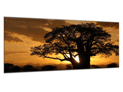 Glasdekor Obraz skleněný západ slunce Afrika Tanzanie - Rozměry-obdélník: 70 x 80 cm