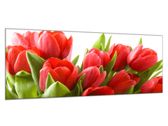 Glasdekor Obraz skleněný červené tulipány - Rozměry-obdélník: 40 x 60 cm