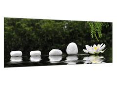 Glasdekor Obraz skleněný řada kamenů a leknín - Rozměry-obdélník: 50 x 100 cm