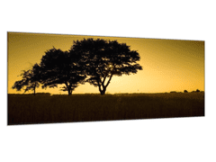 Glasdekor Obraz skleněný západ slunce na vsi - Rozměry-obdélník: 60 x 80 cm