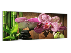 Glasdekor Obraz skleněný květ růžová orchidej bambus a zen kámen - Rozměry-obdélník: 80 x 90 cm