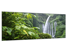 Glasdekor Obraz skleněný vodopády v lese - Rozměry-obdélník: 70 x 80 cm