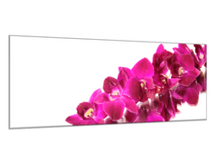 Glasdekor Obraz skleněný mnoho květů tyrkysově růžové orchideje - Rozměry-obdélník: 60 x 70 cm