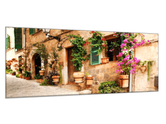 Glasdekor Obraz skleněný zeď domu s květinami - Rozměry-obdélník: 30 x 60 cm